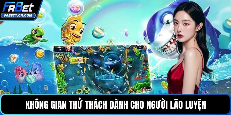 Không gian thử thách dành cho người lão luyện